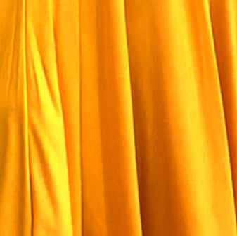 Dené Skirt