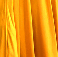Dené Skirt